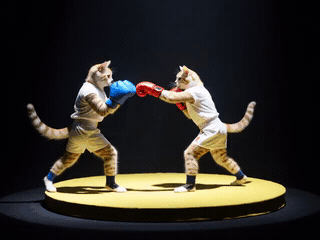 Boxing StableVS 20 steps